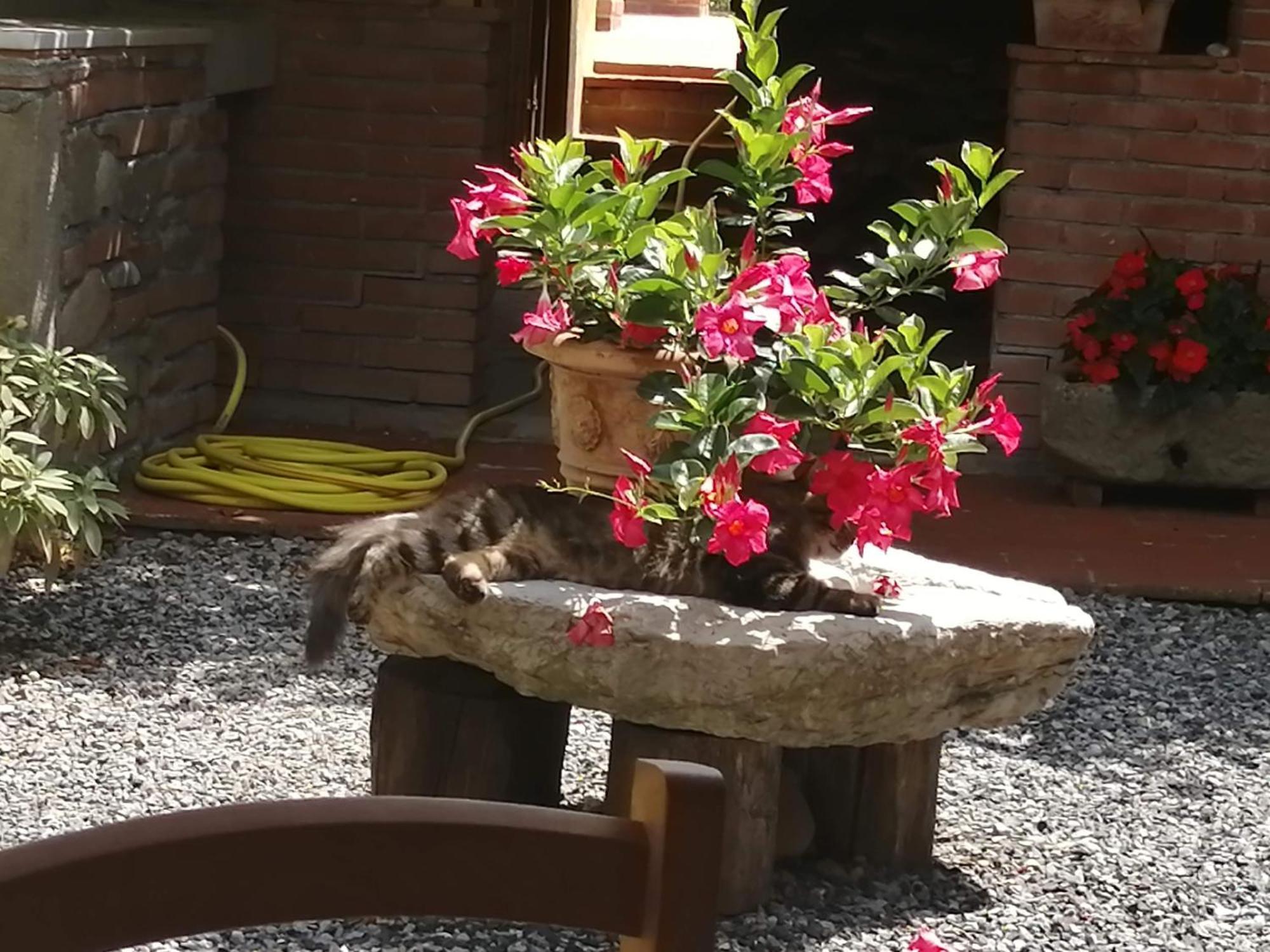 Hotel La cascina di Anna Beverino Esterno foto